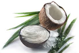 Coconut Shell Ice Cream Cup